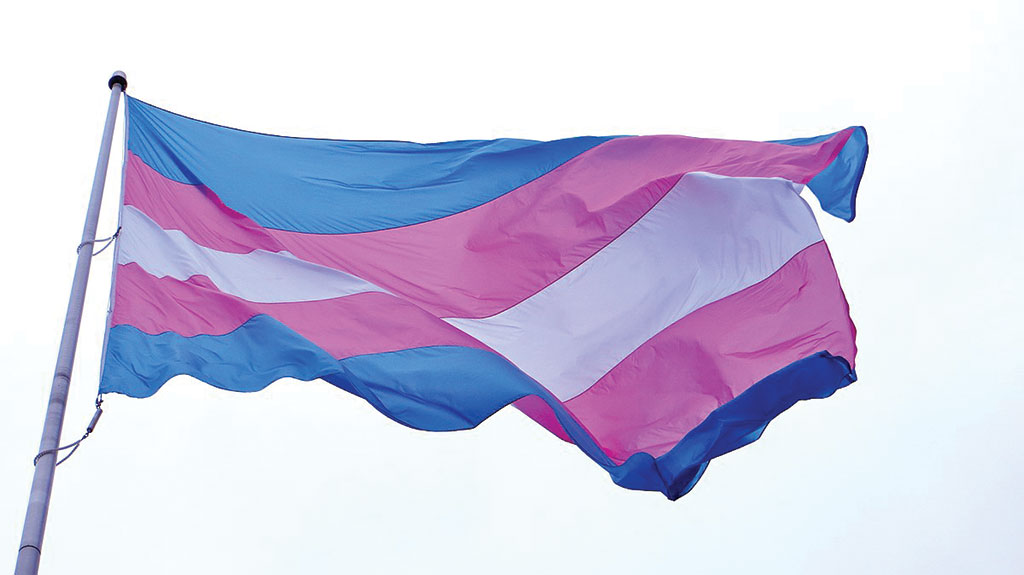 Le 31 mars, journée de la visibilité trans